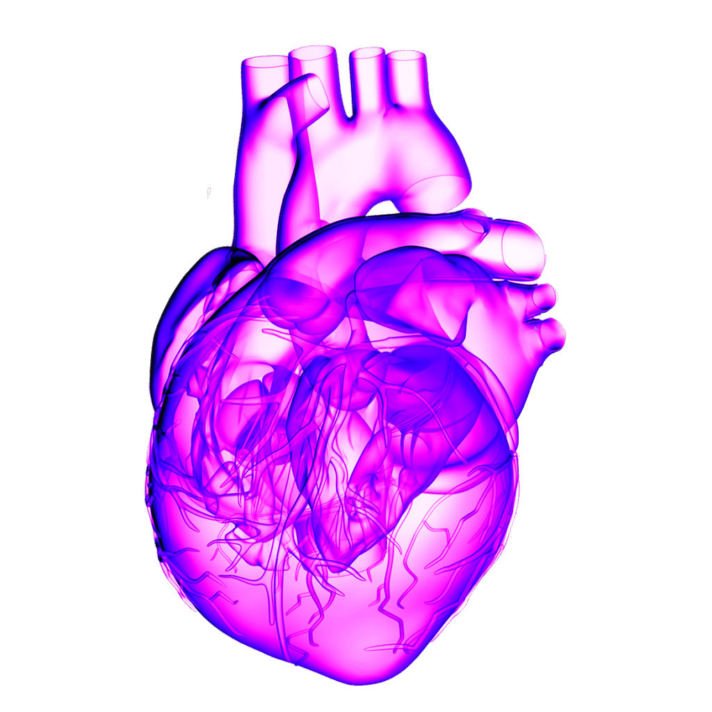 Structural Heart