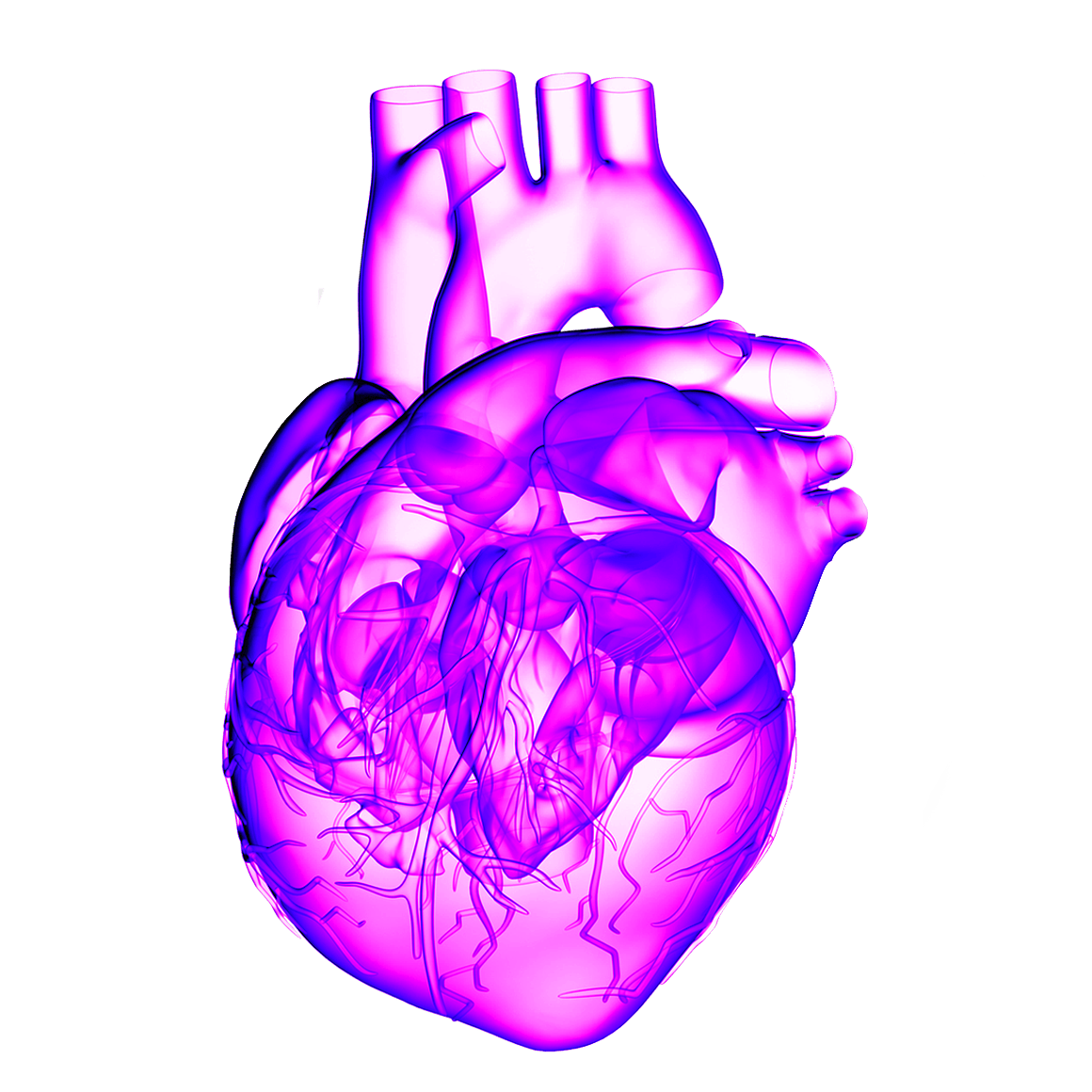 Structural Heart Device Solutions | Solesis